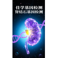 【Ebpay(中国)基因检测】<font color='red'>胱<font color='red'>氨酸</font></font>结石及基因检测的作用