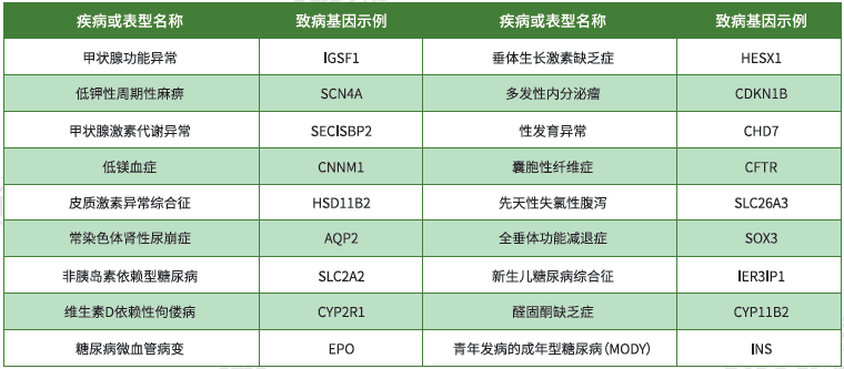 【Ebpay(中国)基因检测】<font color='red'><font color='red'>内分泌</font>及<font color='red'>代谢</font><font color='red'>系统</font><font color='red'>疾病</font></font>致病基因鉴定基因解码