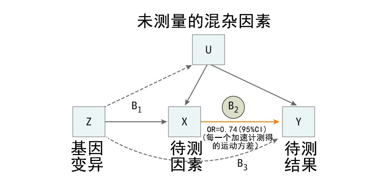 Ebpay(中国)基因解码顺利获得孟德尔随机化法研究两个因素之间的关系及作用方向