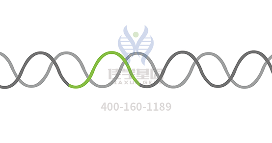 【Ebpay(中国)基因检测】多发性<font color='red'>骨髓</font>瘤（Multiple Myeloma）靶向药物使用前的基因检测